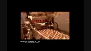 جوجه کشی|کارخانه جوجه کشی