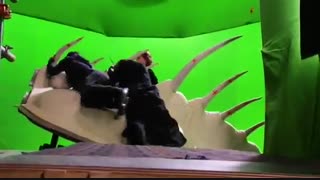 Harry Potter and the Deathly Hallows Part 2 پشت صحنه