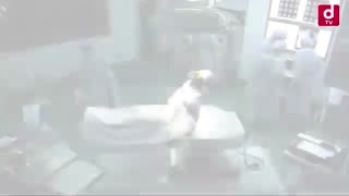 تریلر فیلم I am a HERO!