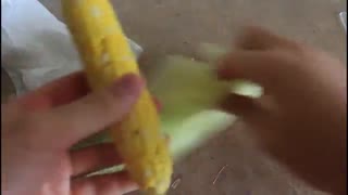 10ترفند آشپزی