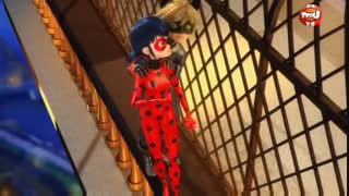 (miraculous ladybug new episode (20