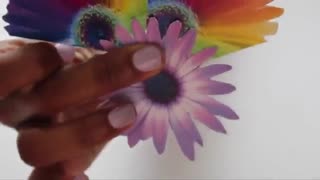 چند مدل قاب گوشی tumblr