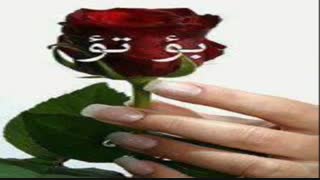 کسانی که کوردی می دونن فقط این آهنگو می فهمن