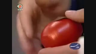 ساناز حیدری-تزیین سفره هفت سین۲