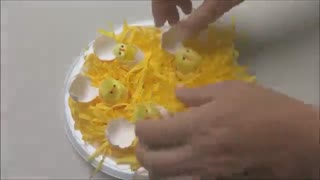 تخم مرغـ - جوجه های بامزه