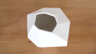 درخت تخم مرغ