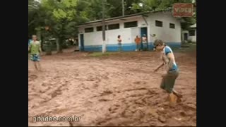 استتار حرفه ای