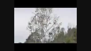 ر ادیوارمان ایران  جوک