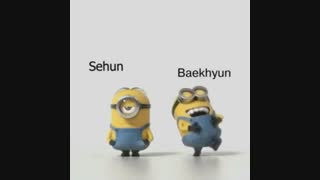 سهون و بکهیون