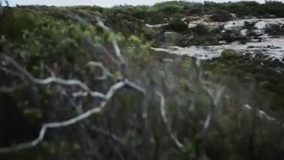 تبلیغ یونا و مین هو برای Edire♡