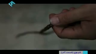 تیتراژ پایانی سریال «شیوع»