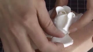 گل رز برای تزیین کیک