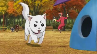 gintama_12