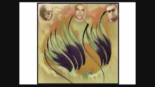 شعرتازه امیر عاملی برای استاد شجریان