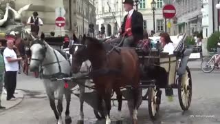 Österreich Wien / Austria Vienna / City trip HD 1080p