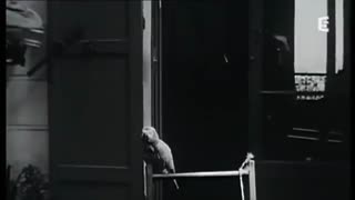 Louis-Ferdinand CÉLINE : « Le reclus de Meudon » (2011)