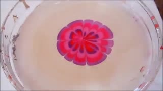 تزیین تخم مرغ با لاک