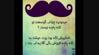 خخخخخخخخخخخ...