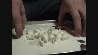 اوبلک خزنده