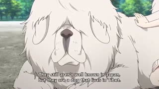 انیمه هاروچیکا قسمت 10