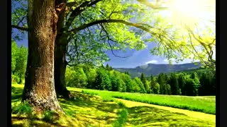 صبح همگی بخیر