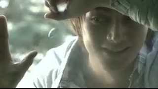 پسران فراتر از گل(Boys Over Flowers)