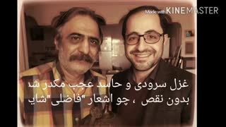 ♫✿غزل امیر عاملی برای شاعر معاصر فاضل نظری♫✿