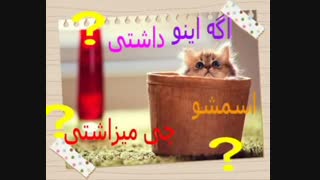 اسمشو چی می ذاشتین؟