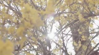 F(x) Krystal @ Vogue Girl May 2015 Making film