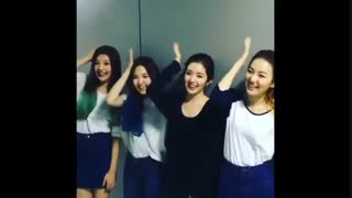 super junior  donghae