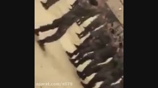 super junior  EUNHYUK