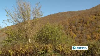 گزارش press tv  از جنگلهای قره داغ یا ارسباران قسمت 1 Arasbaran jungle