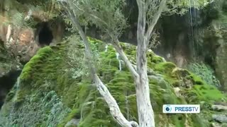 گزارش press tv  از جنگلهای قره داغ یا ارسباران قسمت 2 Arasbaran jungle