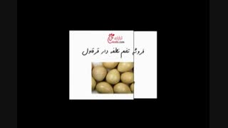 فروش آنلاین تخم نطفه دار