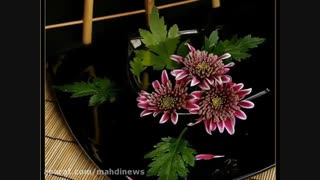 ویدیو تولدی!!!!!!