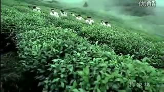 شهر گانگ ژو چین