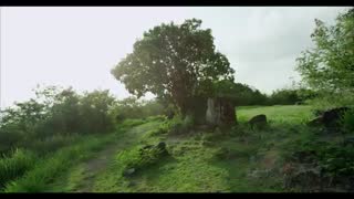 طبیعت های زیبا full hd