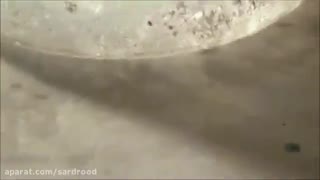 عناصر گروه اول