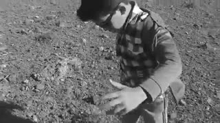 امین دو حنجره