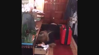 یک واقعیت جالب!!