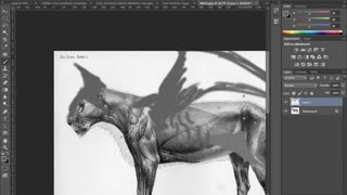 آموزش الهام گرفتن از حیوانات برای ساختِ کاراکترهای سه بعدی (Designing a Fantasy Creature from Reality in ZBrush)