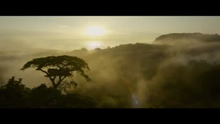 تریلر شماره 2 فیلم The Legend of Tarzan