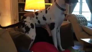 ویدیو جدیدی که تیلور به اینستا ارسال کرده