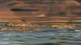نبرد برای زندگی(تمساح و گوزن یالدار)
