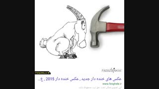 شباهتو.........