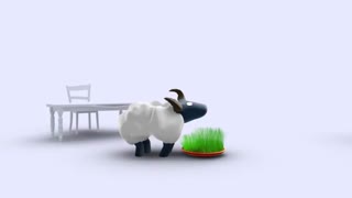 سال 1395 مبارک هوراااااا