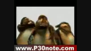 خنده دار ترین آهنگ طنز ترکی...Hh