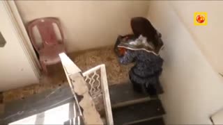 یک زندگی: فاطمه زنی برای تمام فصول