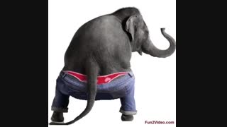 یه فیلم خند دار