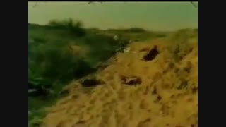 بیاد سردار شهید محمود ثابت نیا فرمانده گردان آسمانی کمیل...